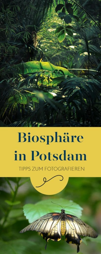 Tipps zum Fotografieren in der Biosphäre in Potsdam